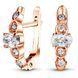 Gold earrings with cubic zirconia FSz249