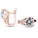 Gold earrings with cubic zirconia PDSz30