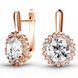 Gold earrings with cubic zirconia FSz275