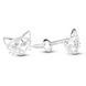 Stud earrings from white gold with cubic zirconia PBz61