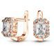 Gold earrings with cubic zirconia PDSz123