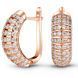 Gold earrings with cubic zirconia FSz304