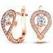 Gold earrings with cubic zirconia PDSz69